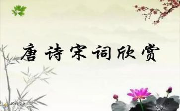 写宋词的作文8篇