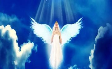 白衣天使的演讲稿7篇