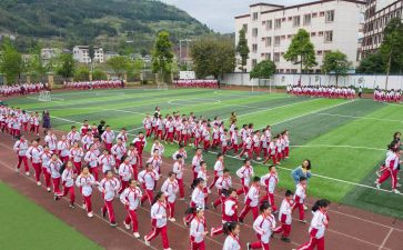 爬体育活动教案模板5篇