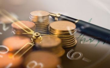 2024年投资者调查报告5篇