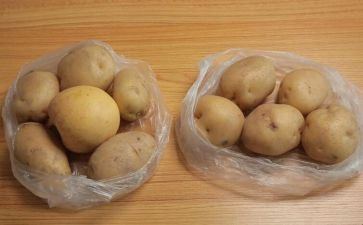 滚来滚去的土豆作文最新6篇