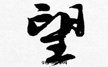 作文我的愿望300字7篇