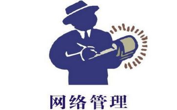 公司网管的工作总结6篇