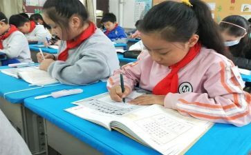 我的姓是我的名字作文推荐8篇