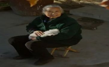 我的奶奶800字作文5篇