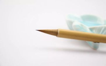 作文牵动我的情思600字7篇