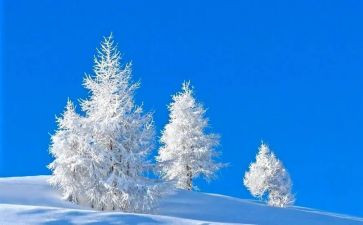 我依然作文500字作文6篇