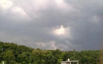 我在变作文1000字推荐6篇