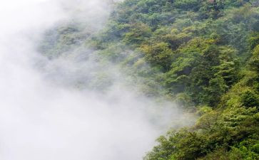《雾都孤儿》的读后感500字8篇