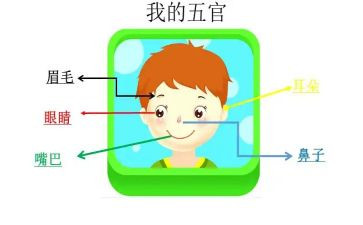 五官论作文8篇