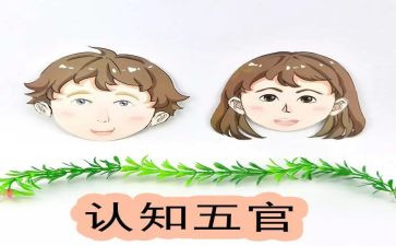 关于五官的作文6篇