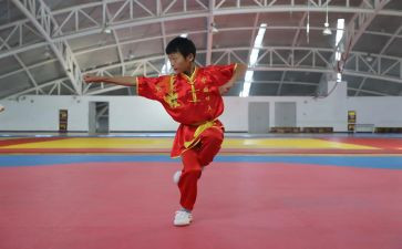 武术社团工作总结7篇