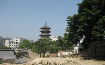 乌塔的读后感精选6篇