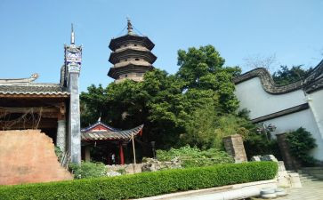 《乌塔》读后感作文参考7篇