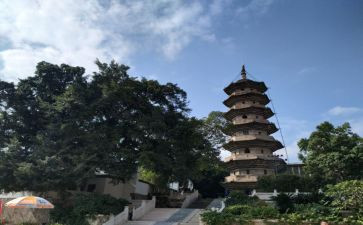 《乌塔》读后感作文5篇