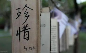 珍惜生命的教案8篇