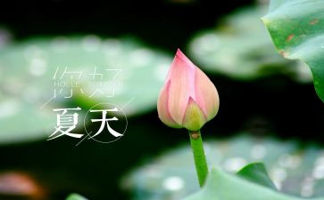 夏天的色彩作文7篇