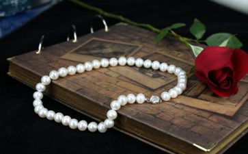 《项链》的读后感最新6篇