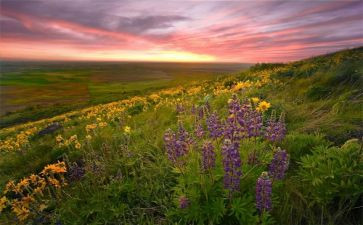 《先生》的读后感通用6篇