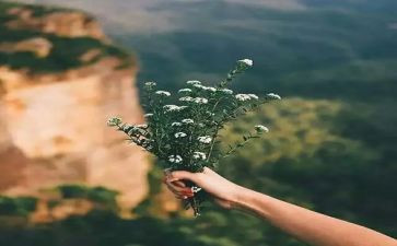 梦想与现实演讲稿7篇