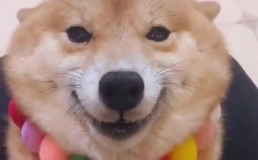 留点微笑给自己作文6篇