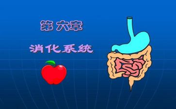 消化护士心得体会7篇