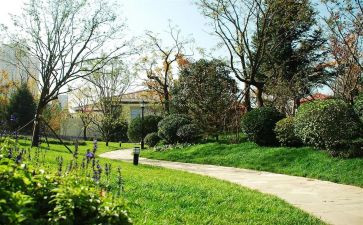 小区工作计划模板5篇