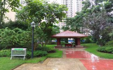 小区的保安工作计划6篇