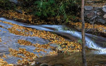 读了小溪流的歌读后感8篇