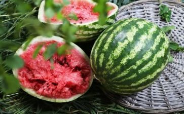 让西瓜的作文模板6篇