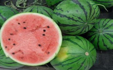 让西瓜的作文参考8篇