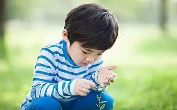 小学生兴趣爱好演讲稿5篇