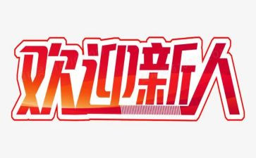 对新人工作总结最新8篇