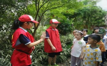 新生儿科自我鉴定8篇