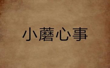 开心事的作文300字6篇