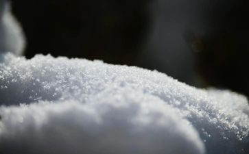 滑雪后感作文通用8篇