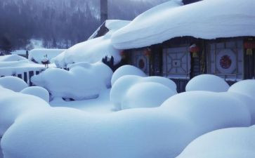 程门立雪读后感最新6篇