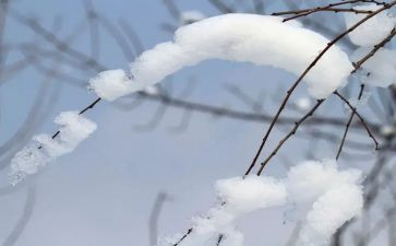 描写雪的小学生作文5篇