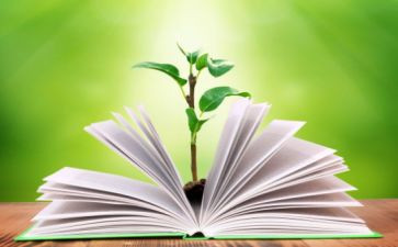 本学期的教学工作总结参考7篇