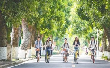 大学生学生会个人总结6篇