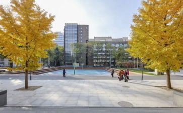 学校的心得体会600字6篇