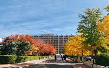 学校合同推荐5篇