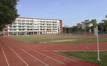 2023学校教师工作总结精选5篇