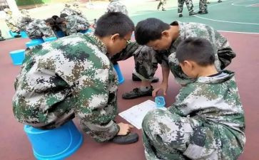 c证培训学习心得最新5篇