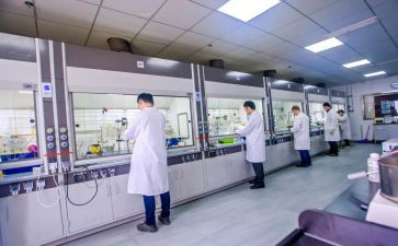 研发项目总结报告6篇