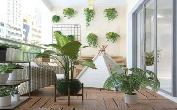 阳台里的花观后感5篇