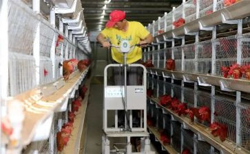 水产养殖合同7篇