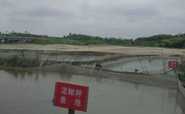 养殖场的心得体会5篇