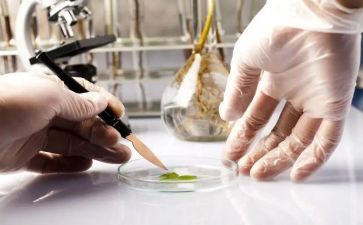 学研究工作计划6篇