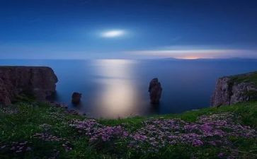 小班小树叶教案优质7篇